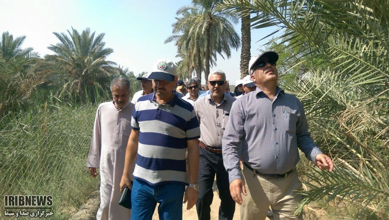 فائو به کمک کشاورزان آبادانی آمد