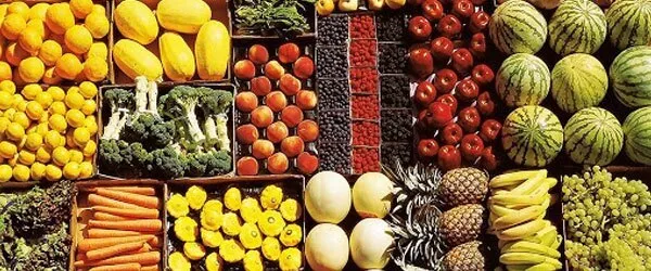 تشکیل اتحادیه صادرکنندگان محصولات کشاورزی شمال خوزستان