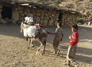 اهالی کموفه در اندیکا از مشکلات زیادی رنج می‌برند