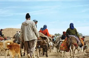 آغاز کوچ عشایر بختیاری به استان خوزستان
