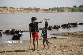 منطقه گاومیش آباد در اهواز