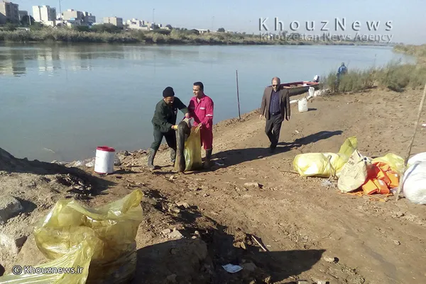 استفاده از پد برای جمع کردن نفت از روی آب