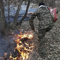 آتش جنگل‌های نخودکار مال آقا مهار شد
