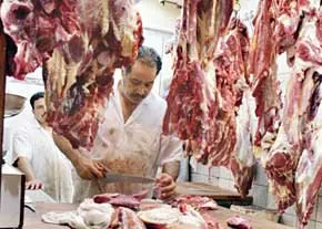 توصیه‌هایی برای پیشگیری از بروز بیماری «تب کنگو»