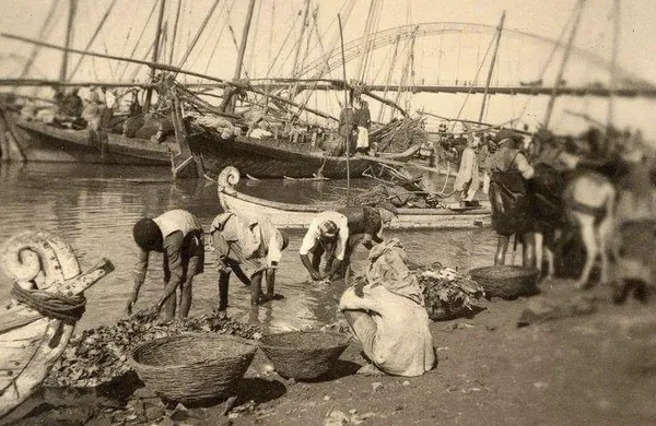 رود کارون