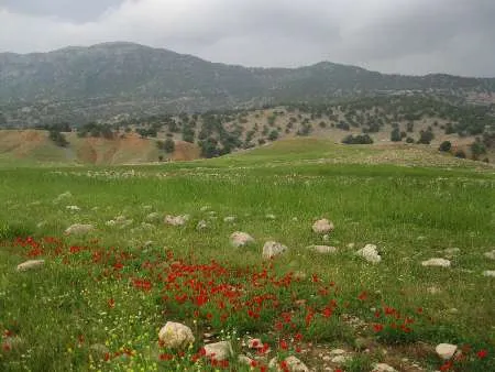 اهالی روستای چال منار اندیکا در انتظار نگاه ویژه مسئولان