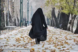 تک عکس / فرجام خزان پائیز