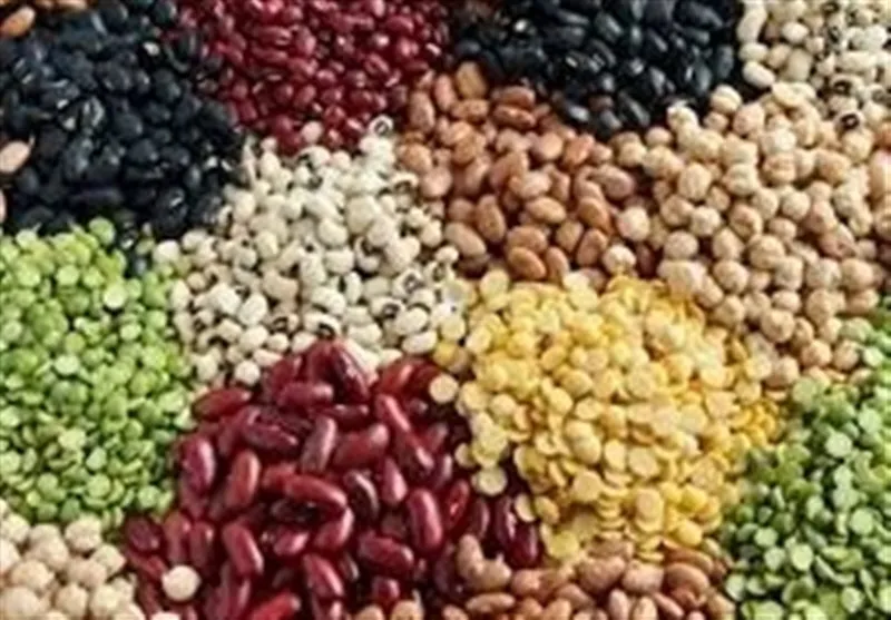 چرا تورم حبوبات از ۶۰ درصد عبور کرد؟/ارز ترجیحی برای پالم و شکلات، ارز توافقی برای حبوبات