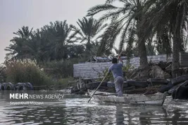 تالاب شادگان