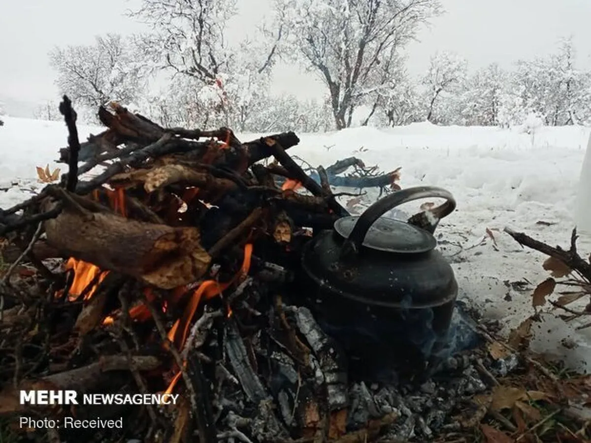 دیدنی های زمستانی خوزستان؛ نگینی پنهان در قلب ایران
 