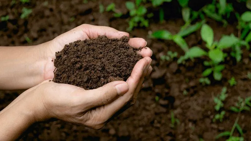 پژوهشگر خوزستانی هشدار داد: خاک حاصلخیز خوزستان در آستانه نابودی
 