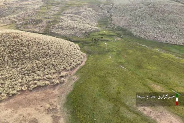 تجربه بهار در تابستان در منطقه زیبای سیروک و سرقوچ صیدون