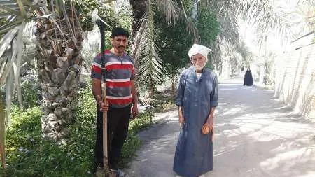 نخل‌های بخش مرکزی آبادان غزل خداحافظی می‌خوانند