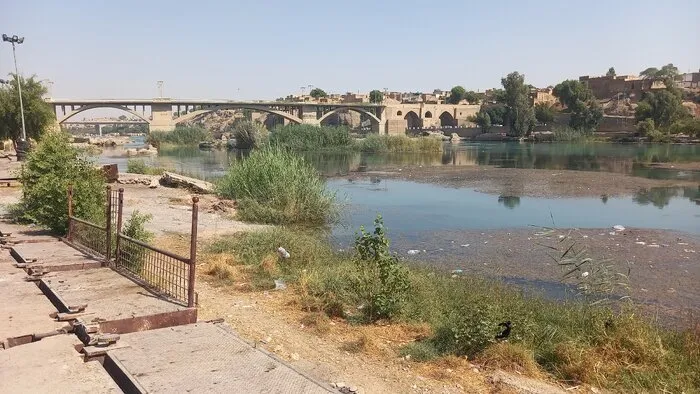 دز زیر سیطره جلبک‌ها
 