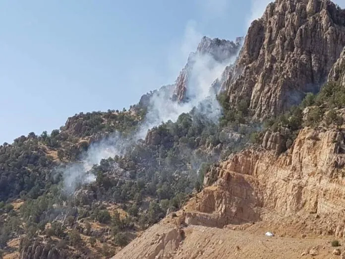 مهار آتش سوزی در ارتفاعات تاراز شهرستان اندیکا