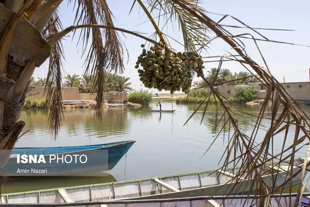 حال تالاب بین‌المللی شادگان؛ فعلا خوب اما شکننده
 
