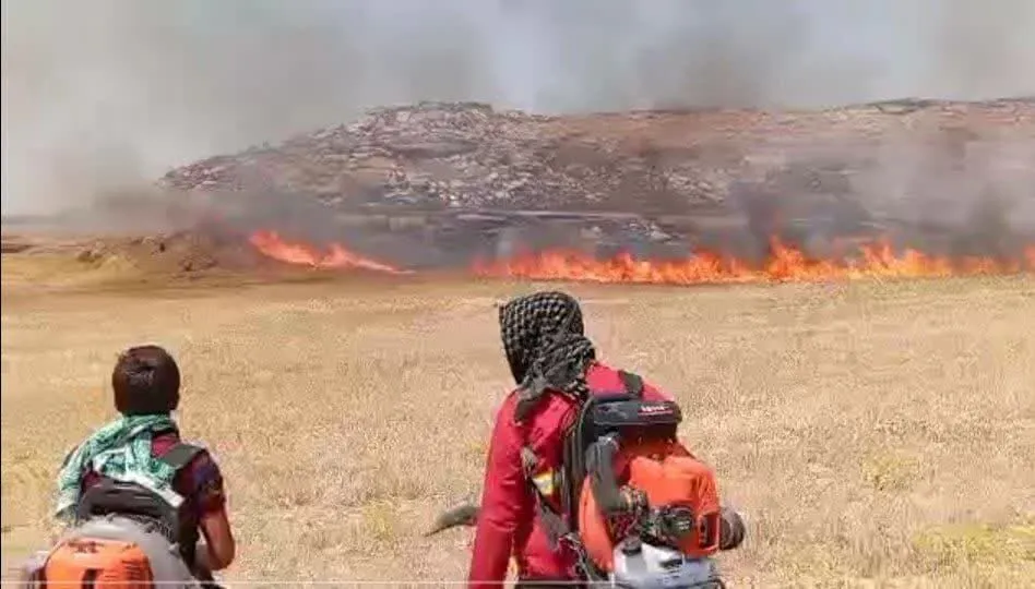 هوس یک لیوان چای، بخشی از دیم زارهای دزفول را به آتش کشید