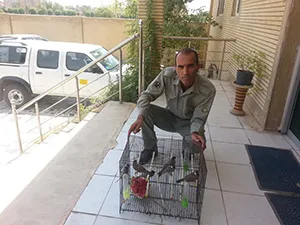 دستگیری یک نفر متخلف زنده‌گیری بلبل خرما در دزفول