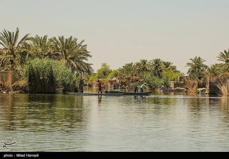 تالاب شادگان در شرایط بحرانی قرار دارد