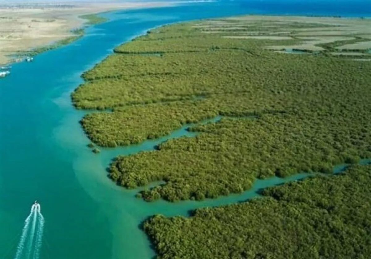 ایجاد جنگل حرا در خوزستان
 