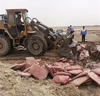 معدوم‌کردن 5 تُن گوشت و خمیرمرغ غیربهداشتی در اهواز