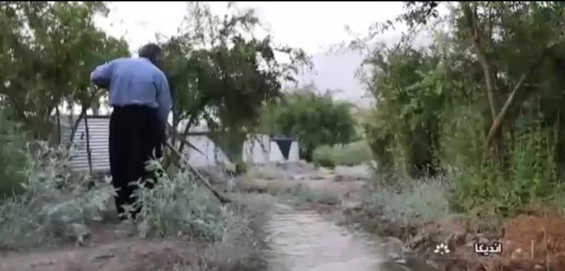 کاشت بذر امید توسط کشاورز اندیکایی در روستایی خالی از سکنه