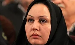 اخذ عوارض از شرکت‌های نفت، گاز و پتروشیمی به علت ایجاد آلودگی